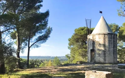 Le chemin de Cadenau à Barbentane