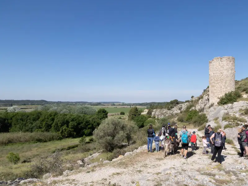 Visite guid&eacute;e des tours de Castillon
