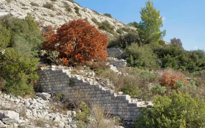 Les moulins et la meunerie romaine à Fontvieille