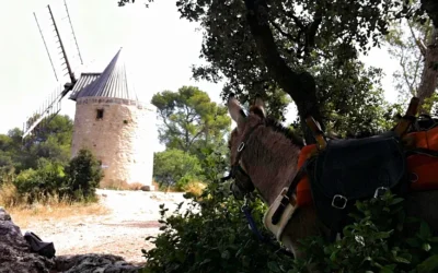 Les crottes d&rsquo;Aubert à Fontvieille