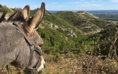 Sortie Week-end au coeur de la nature