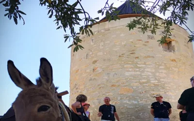 Le sentier des Moulins à Fontvieille avec un guide
