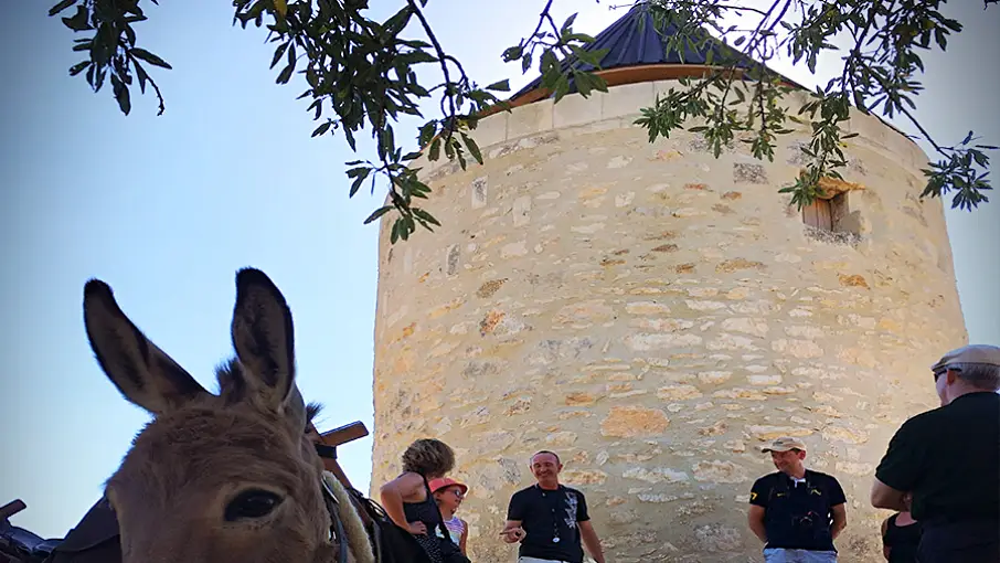 Visite du moulin de Fontvieille avec un guide