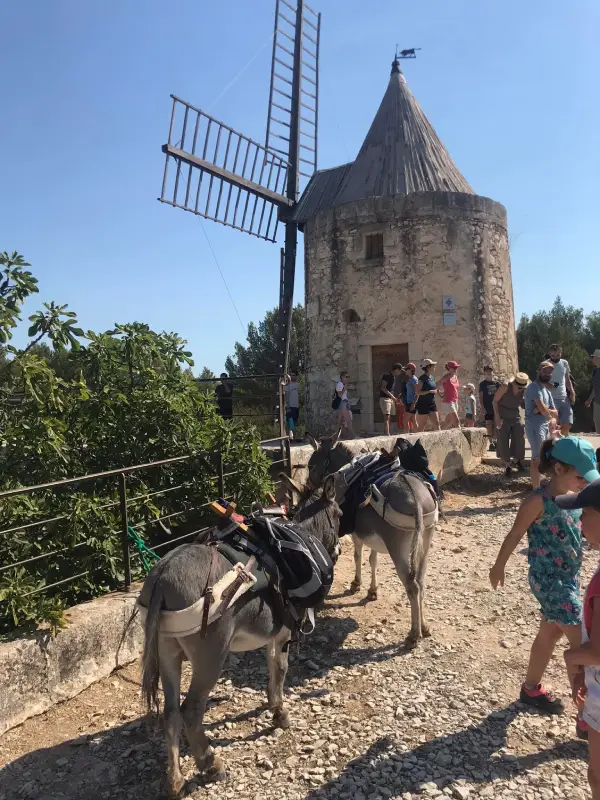 Moulin de Tissot Avon
