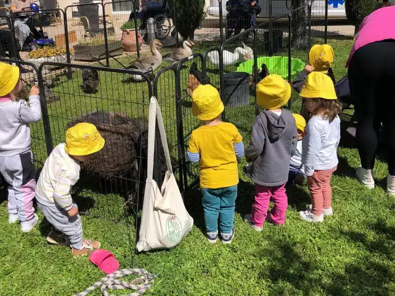 Enfants d'une cr&egrave;che visitant P'tite ferme 